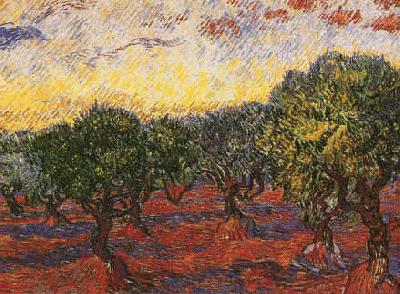 Olive Grove, Vincent Van Gogh